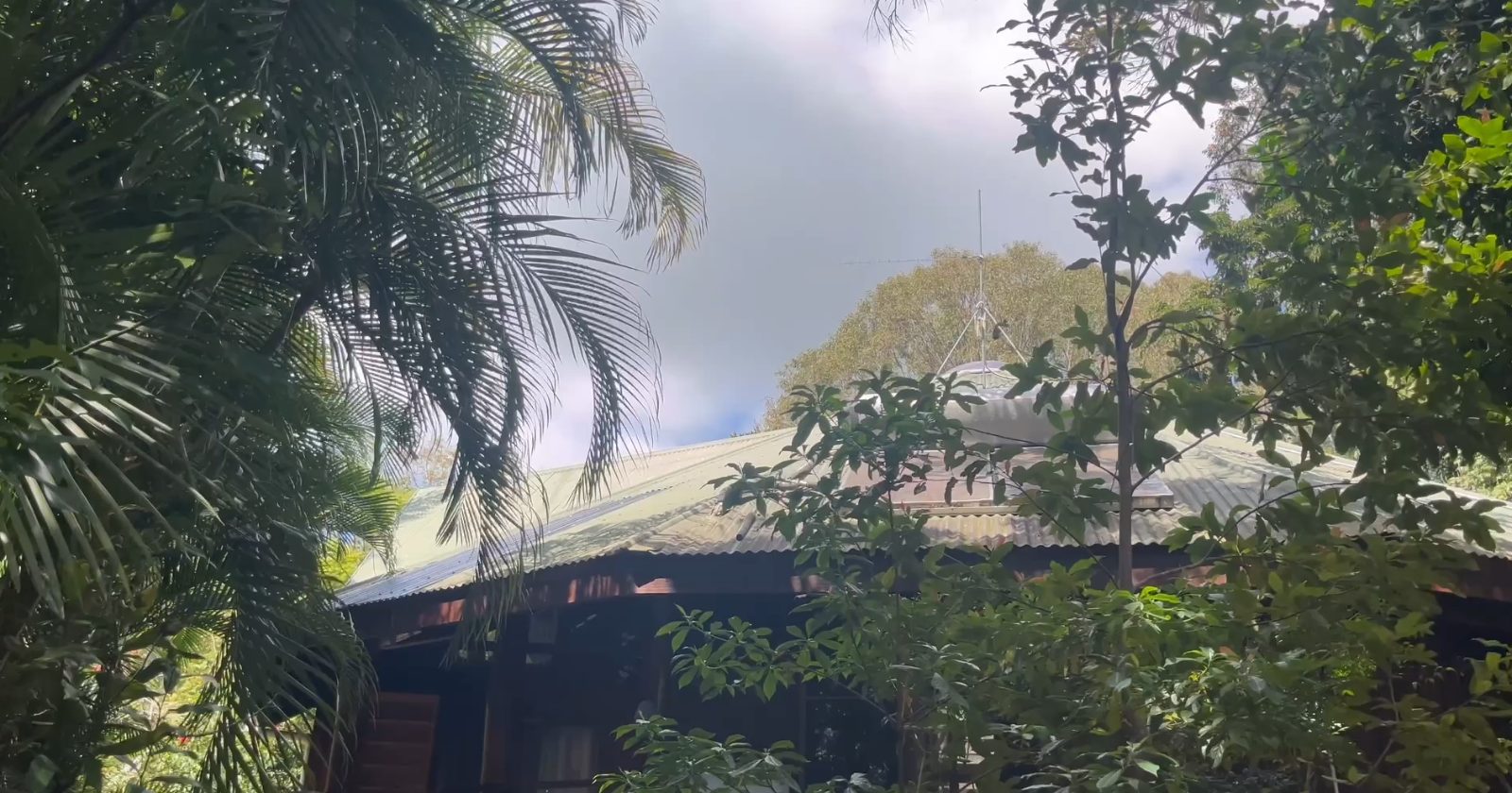 Steep, heavily shaded roof on a Northern Rivers property assessed for solar